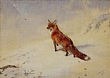 Archibald Thorburn Canvas Paintings - Startled